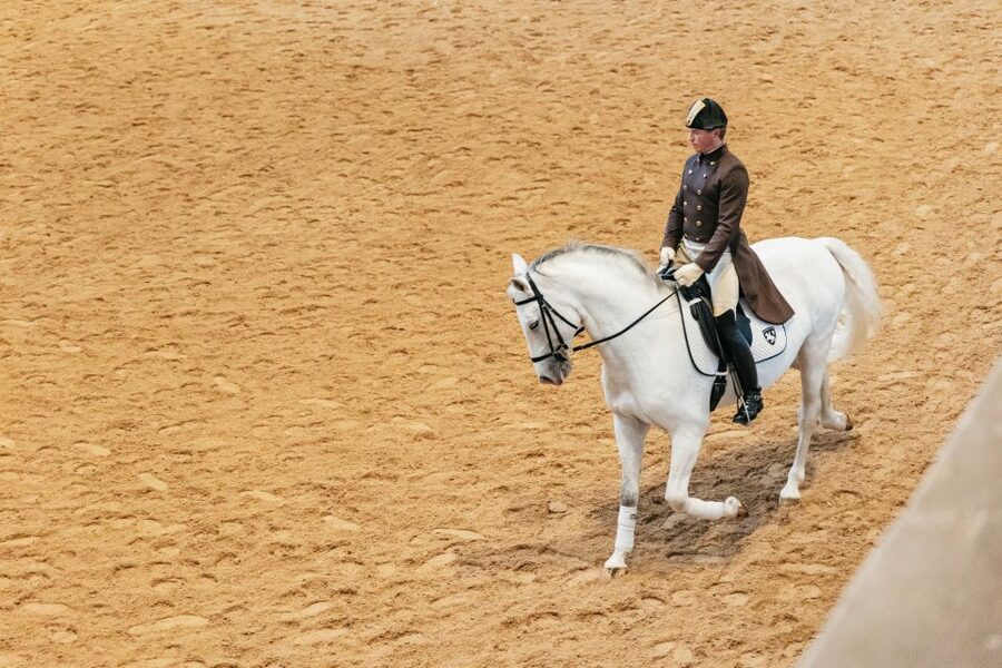 Vienna: Spanish Riding School Training - Seats, Standing Room, and the Stairs Reality Check