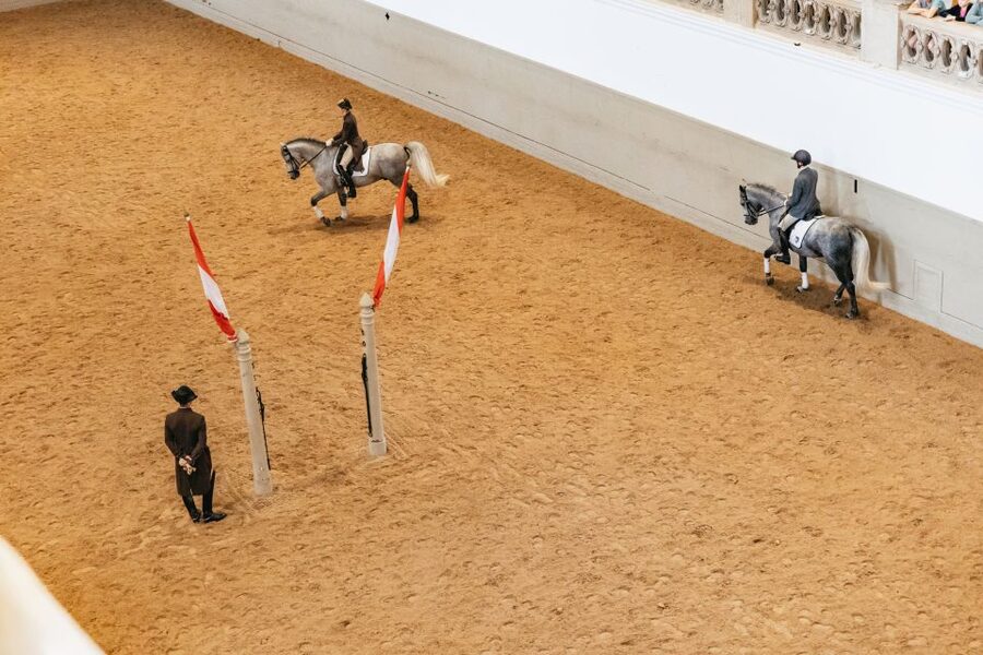 Vienna: Spanish Riding School Training - Phone Etiquette: No Photos, and Why Staff Takes It Seriously
