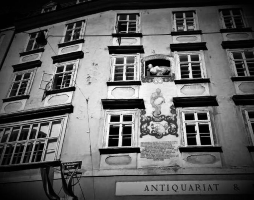 Vienna: Spooky Ghost Tour in English - Inner-city legends in action, Countess Bathory to Blood Alley