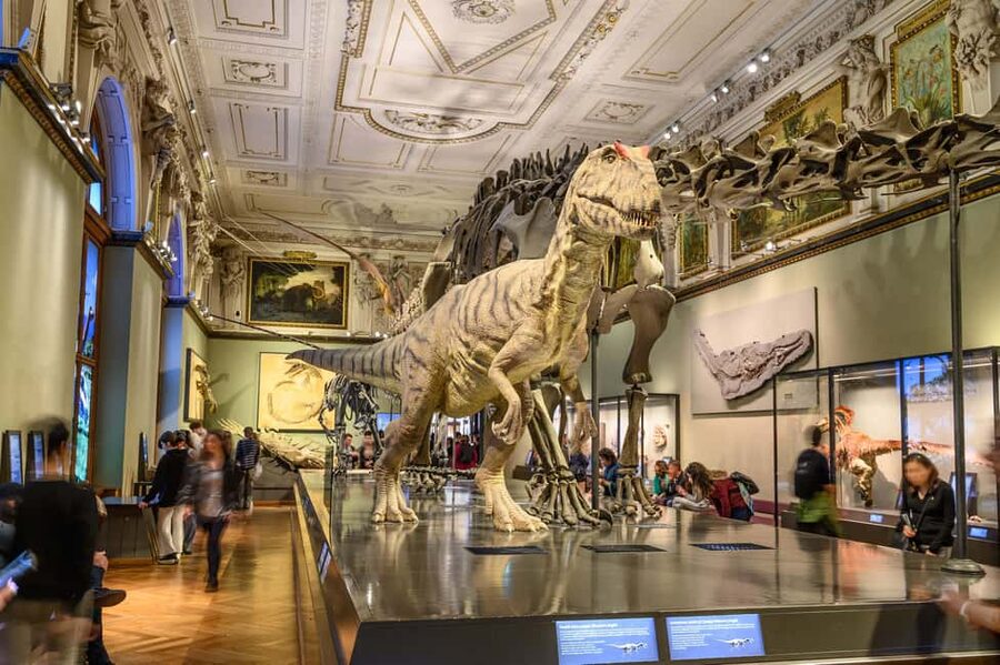 Vienna: Ticket to the Museum of Natural History - Planning Your 1-Day Visit: Two Floors, 39 Halls, One Solid Route