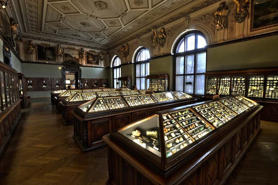 Vienna: Ticket to the Museum of Natural History - Gold Cabinet: Prehistoric Treasures and a Second-Oldest Mention
