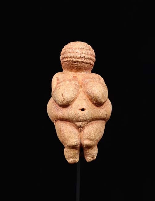 Vienna: Ticket to the Museum of Natural History - The Venus Cabinet: Why Willendorf Still Stops People Cold