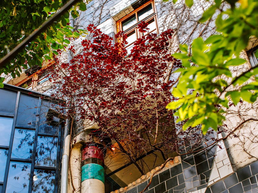 Vienna: Tickets for Kunst Haus Wien: Museum Hundertwasser - Audio guide reality check: when it’s worth paying the extra 4 EUR