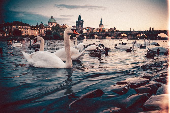 Vienna to Prague - Private Transfer with 2 hours of Sightseeing - Price and value: what you’re paying for