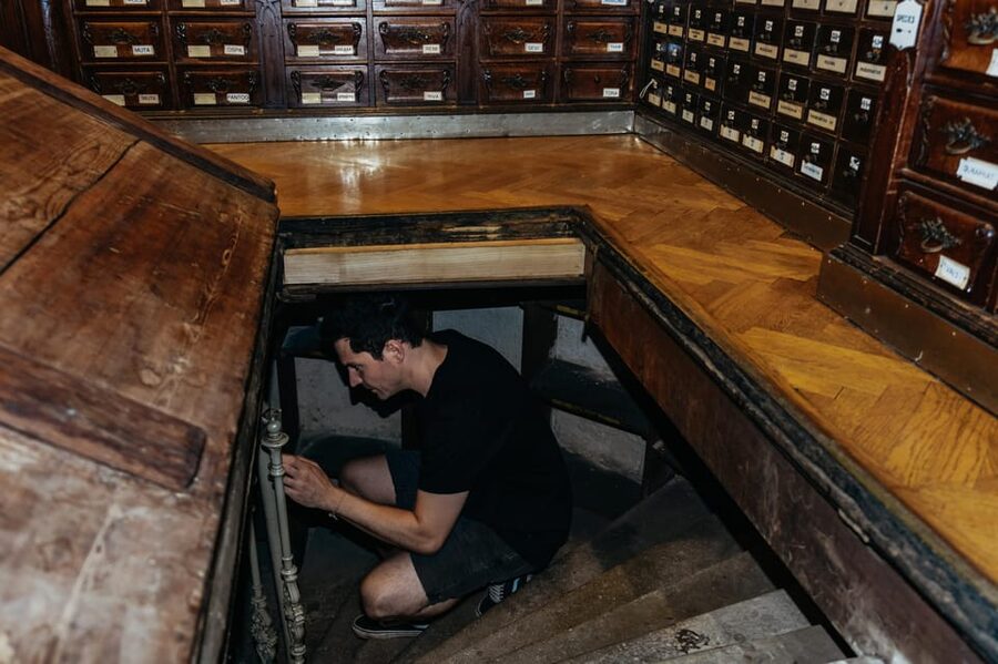 Vienna: Viennese Underworld Guided Walking Tour - Why Vienna’s Underground Feels Like a Different City