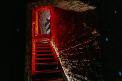 Viennese Underworld Guided Walking Tour