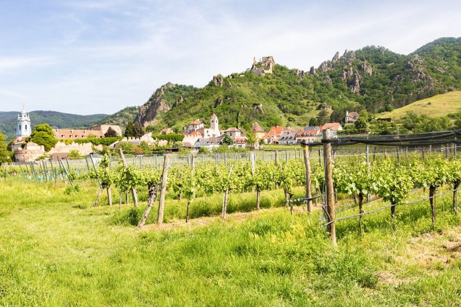 Vienna: Wachau Valley, Melk Abbey Tour with Danube Boat Trip - Krems stop: what you are there for and what to watch for
