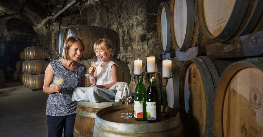 Vienna: Wine Tasting E-Bike Tour - Key things that make this tour a winner
