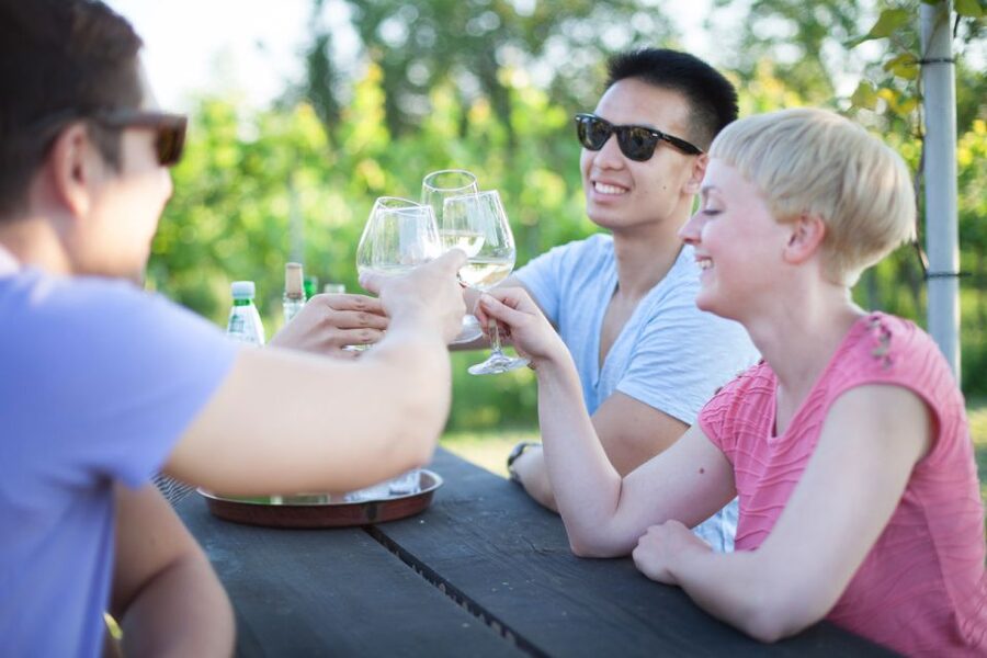 Vienna: Wine Tasting E-Bike Tour - Price and Value: What You Get for About $111