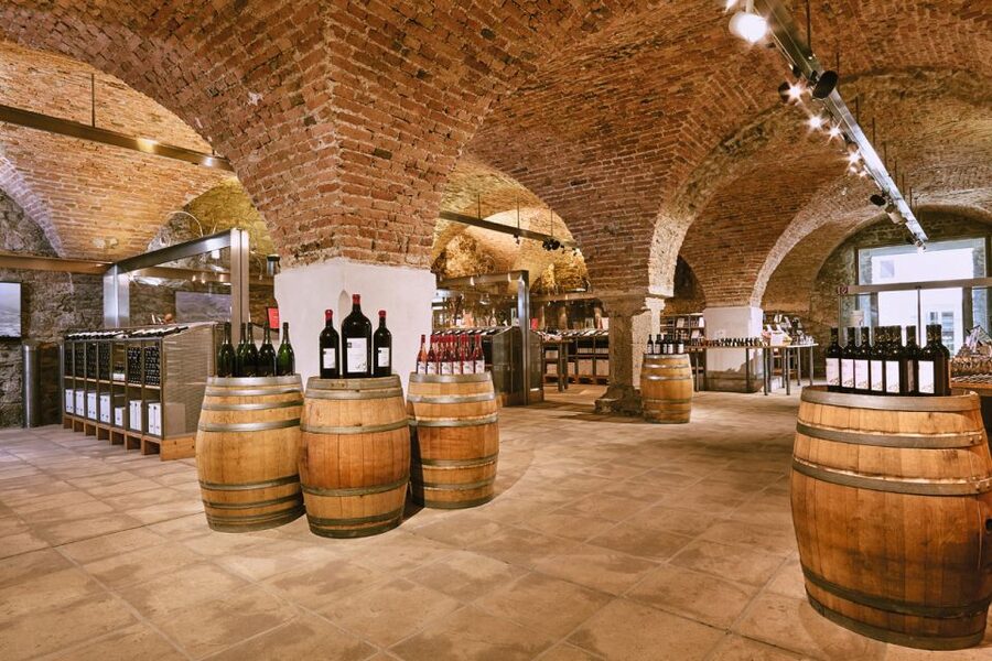 Vienna: Wine Tasting E-Bike Tour - Who This Tour Fits Best, and Who Should Skip It