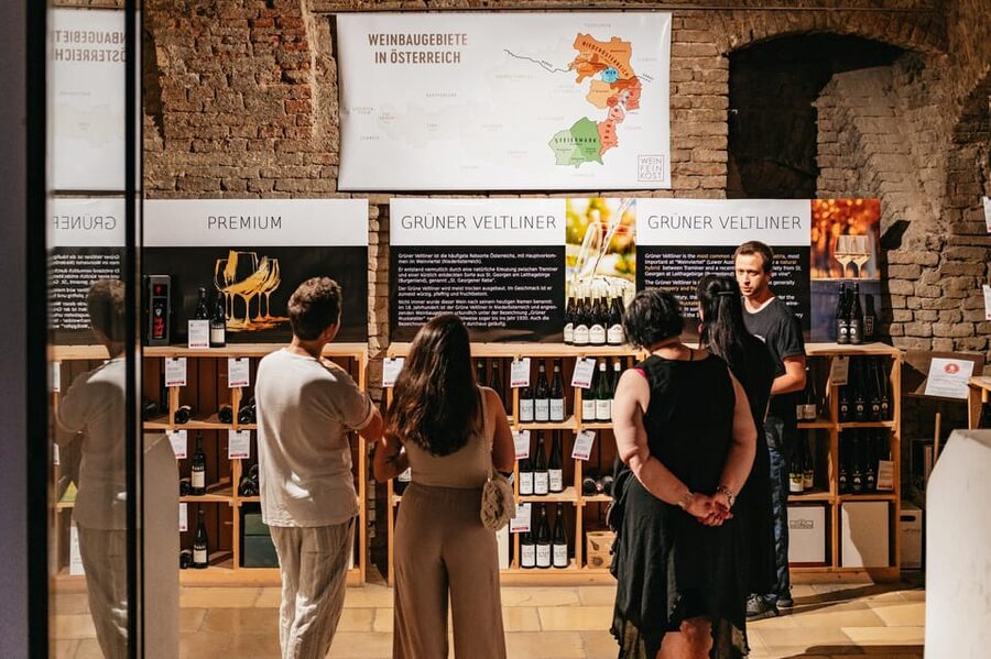 Vienna: Wine Tasting Experience in a Private Wine Cellar - Your Guide in the Cellar: Stories, Tone, and the Q and A Factor