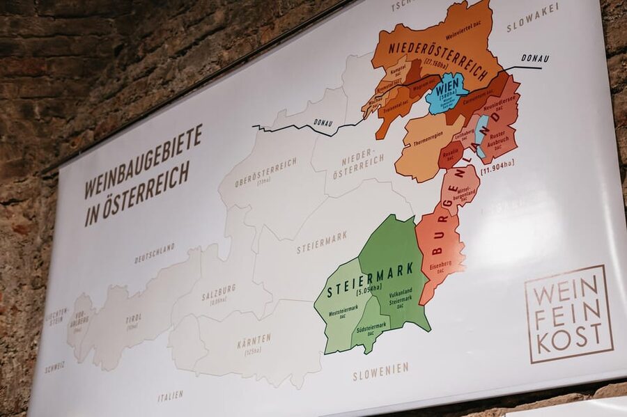 Vienna: Wine Tasting Experience in a Private Wine Cellar - The Cellar Experience, Comfort Levels, and Practical Tips