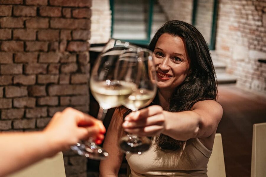 Vienna: Wine Tasting Experience in a Private Wine Cellar - Price and Value: Why $22 Can Be a Good Deal in Vienna