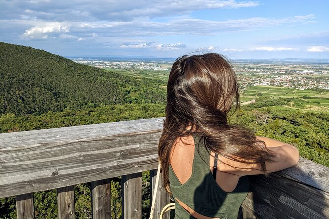 Vienna Woods Wine Tour - Wines, Vines & Good Times! - Key highlights