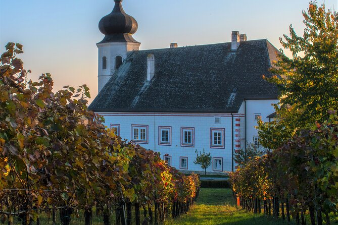 Vienna Woods Wine Tour - Wines, Vines & Good Times! - Stop 2 in Gumpoldskirchen: village lunch and a winemaker-led tasting