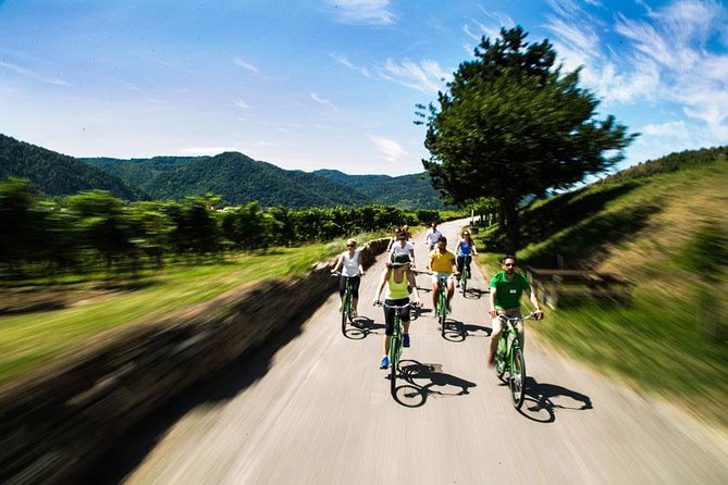 Wachau Valley Wine Tasting Bike Tour from Vienna - Price and Value: What $163.26 Buys You in the Wachau