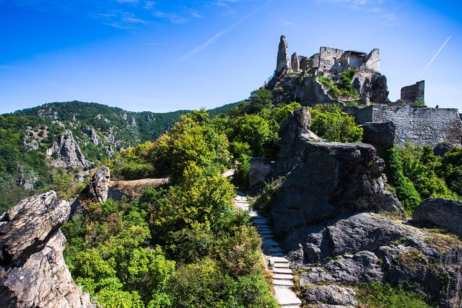 Wachau Valley Wine Tasting Bike Tour from Vienna - Who Should Book This Wachau Wine Tasting Bike Tour