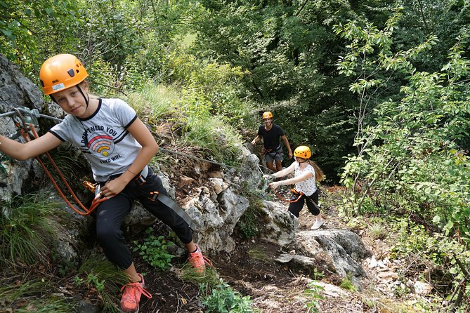 Waldseilpark Wörthersee - The core experience: what you do over about two hours