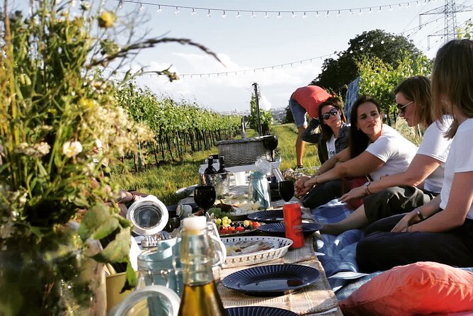 Wine Picknick overlocking vienna - Key things to know before you go