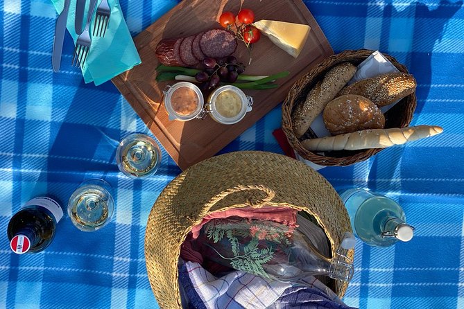 Wine Picknick overlocking vienna - The view factor: how you get that Vienna wow moment