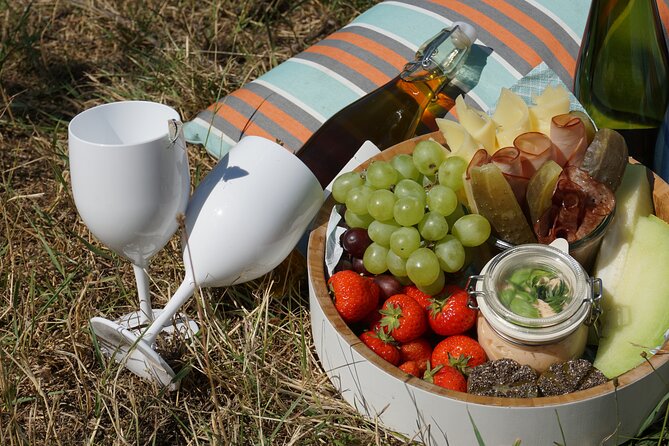 Wine Picknick overlocking vienna - Price and value for a private group up to 3